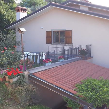 Villa Ambrosia Múggia Exteriér fotografie