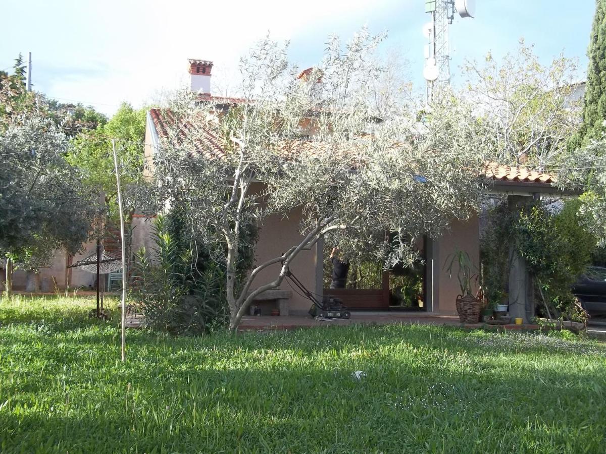 Villa Ambrosia Múggia Exteriér fotografie