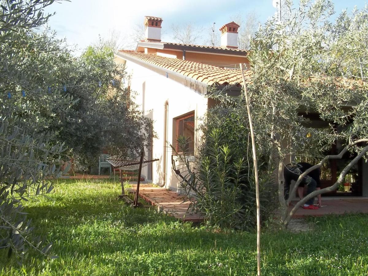 Villa Ambrosia Múggia Exteriér fotografie