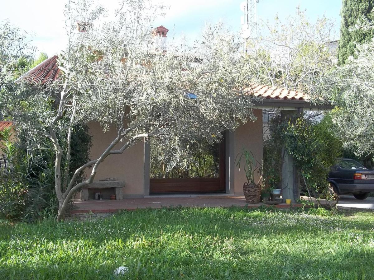 Villa Ambrosia Múggia Exteriér fotografie