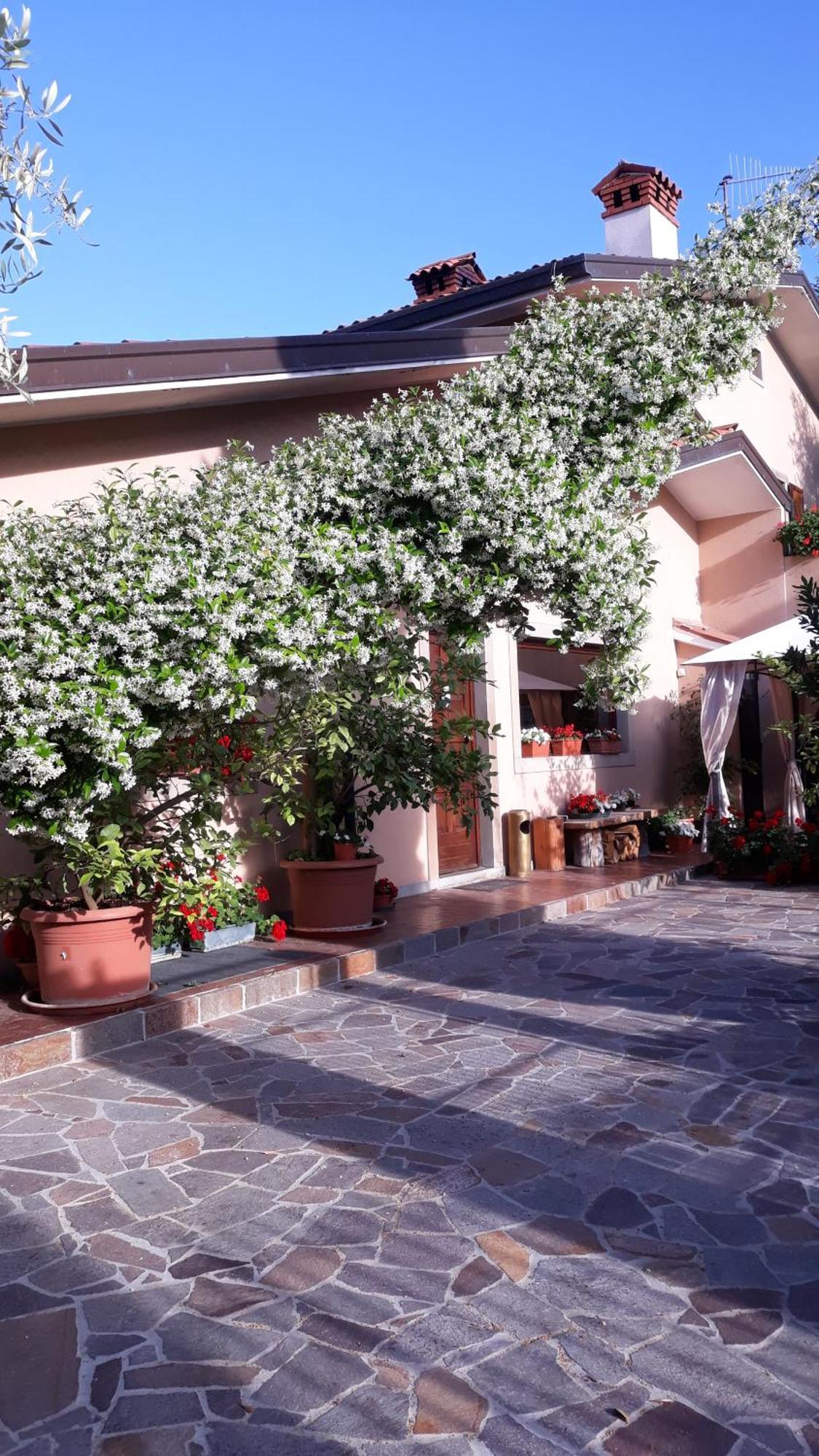 Villa Ambrosia Múggia Exteriér fotografie